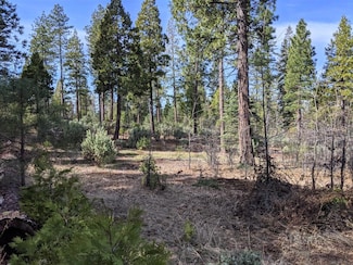 Lot 5 Waterleaf Ln, Shingletown, CA 96088