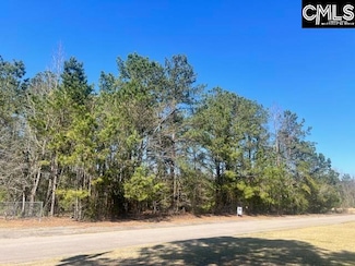 0 Kirkland St, Orangeburg, SC 29118