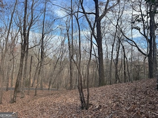 0 Geneva Place Unit 10648174, Sautee Nacoochee, GA 30571