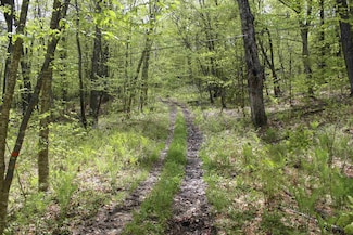 00 Long Hill Rd, Woodstock, VT 05071