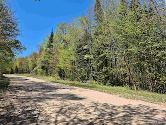 South 9 Acres Perch Lake Rd, Au Train Township, MI 49862