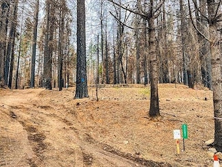 5287 Golden Aspen Dr, Grizzly Flats, CA 95636