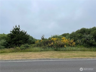 409 Ocean Shores Blvd NW, Ocean Shores, WA 98569