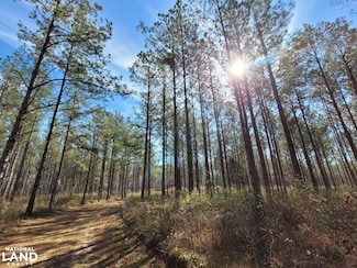 0 Percy Johnson Rd Unit 25514018, Benton, AL 36785