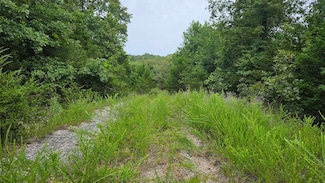 102 Mother Lode Dr, Horseshoe Bend, AR 72512