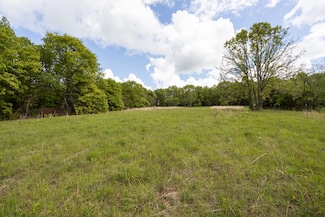 1952 Mount Pisgah Rd, Cabool, MO 65689