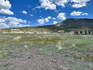 Tract 2 El Dorado Ln, South Fork, CO 81154
