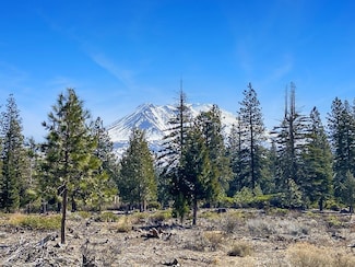 Lot 9 Hidden Meadow Dr, Weed, CA 96094
