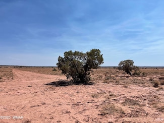 8191 E Concho Highway Parcel E, Snowflake, AZ 85937