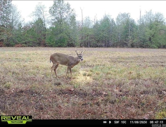 000 Hwy 13, McRae, AR 72102