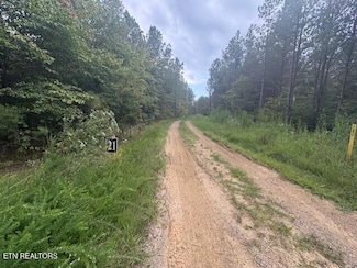 674 Rhodas Way, Sunbright, TN 37872