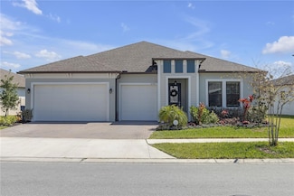 21396 Snowy Orchid Terrace, Land O' Lakes, FL 34637