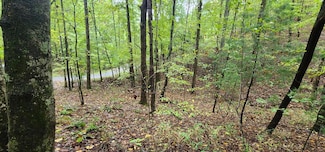 702&703 Mango Ln, Ellijay, GA 30540