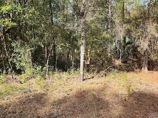 0 SW Rainbow Lakes Blvd Unit MFROM695244, Dunnellon, FL 34431