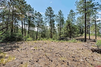 319 Blue Ridge Cir, Bayfield, CO 81122