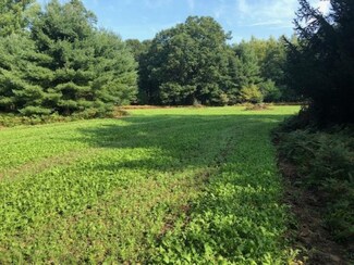 V/L 85th Ave, Morton Township, MI 49332