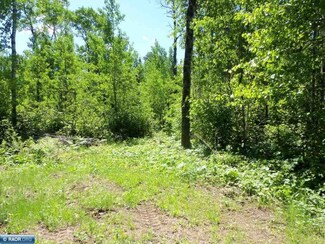 XXX County Hwy 21, Babbitt, MN 55706