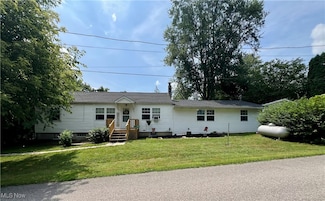 104 Middle St, Wellington, OH 44090