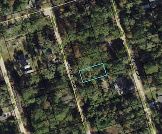Lot 17 Choctaw Rd, Crawfordville, FL 32327