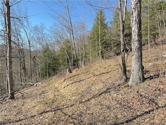 0 County Road 22 A, Bloomingdale, OH 43910
