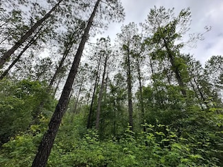 0 N Bethlehem Rd, Greenville, AL 36037