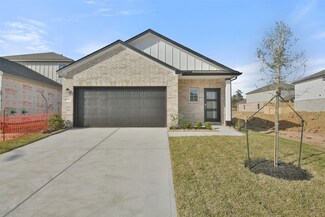 8434 Sweet Cherry Ln, Magnolia, TX 77354