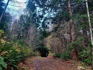 0 Lot 9 Old Barn Rd, Randle, WA 98377