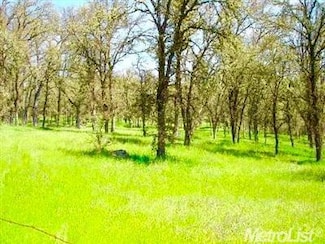 0 Grassy Run Rd Unit ML81977085, Placerville, CA 95667