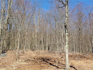 0 W Constitution Ave Unit 662632, Plainfield Township, PA 18072