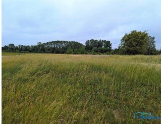 0 Lot 30 Savanna Lake Blvd, Whitehouse, OH 43571