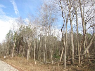Tract 1 N Carolina 231, Spring Hope, NC 27882