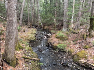Lot 14-6 North Rd, Lee, ME 04455