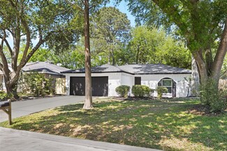 16703 Townes Rd, Friendswood, TX 77546