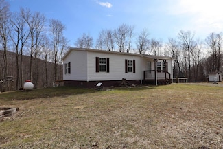 639 Wolf Run Rd, Hambleton, WV 26269