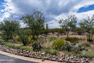 111 N Gunflint Place Unit 189, Sahuarita, AZ 85629