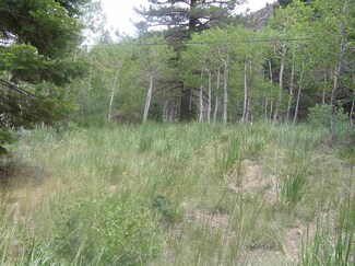 Lot 1 Aspen Dr Unit 1, Twin Lakes, CA 93517