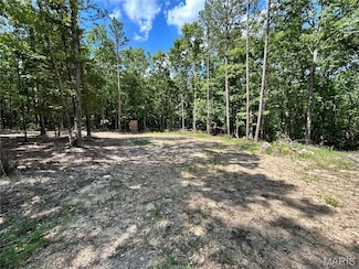 0 County Road 373, Greenville, MO 63944