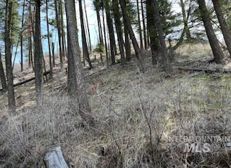 TBD Washington 129, Anatone, WA 99401