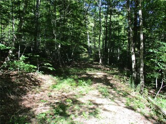 0 California Hollow Unit R292811, Bolivar, NY 14715