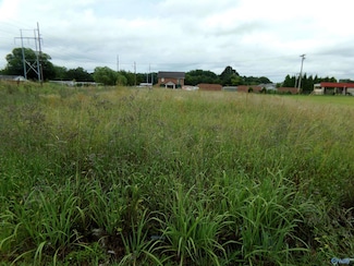 lot005 Sandlin Rd SW, Decatur, AL 35603