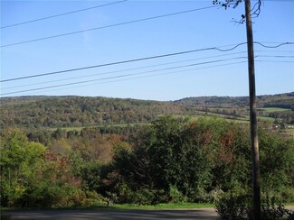 0 Health Camp Rd Unit R1084064, Cuba, NY 14727