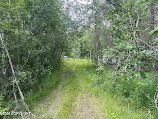 4001 Vine Rd, Wasilla, AK 99654