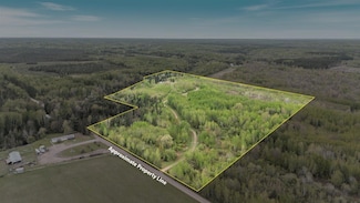 TBD Billy Creek Rd E, Big Falls, MN 56627