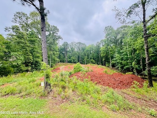 Lot 11 Buckskin Ct, Dadeville, AL 36853