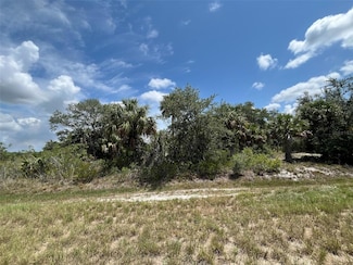 15261 NW 294th St, Okeechobee, FL 34972