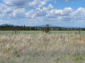 XXX N Wood Rd, Reardan, WA 99029