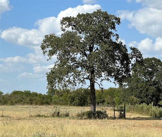 2597 Lacy Ln, Bedias, TX 77831