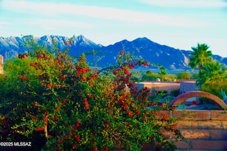 3845 S Via Del Reyecuelo, Green Valley, AZ 85622