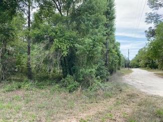 0 NE 67th St Unit MFRGC530178, Bronson, FL 32621