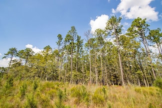 XX1 Highway 177a, Bonifay, FL 32425